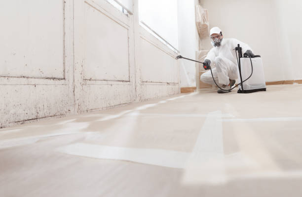24/7 Emergency Mold Remediation experts in Plainsboro, NJ