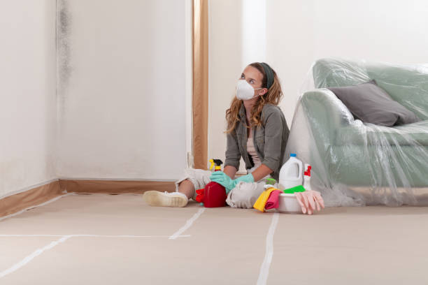 Reliable Mold Remediation contractor in Plainsboro, NJ by WQB Mold Removal